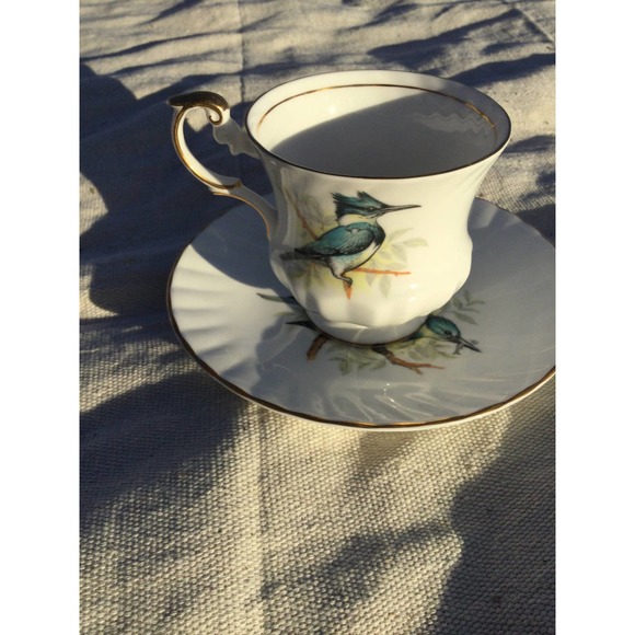 Queen’s Rosina Other - Vintage Queen’s Rosina birds of america 1 belted kingfisher cup saucer England